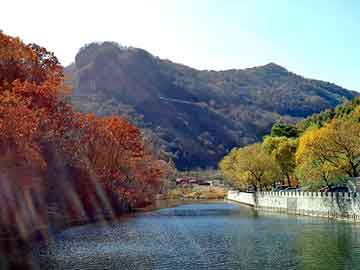 澳门天天免费精准大全，燃油催化器